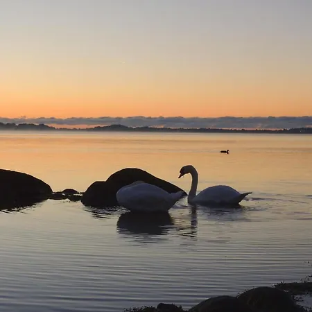 F-1037 Haus Neuendorf - Kaminfeuer Путбус