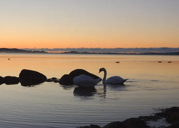 F-1037 Haus Neuendorf - Kaminfeuer Putbus
